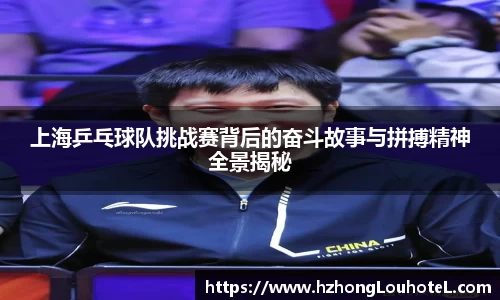 上海乒乓球队挑战赛背后的奋斗故事与拼搏精神全景揭秘